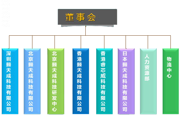 公司架構